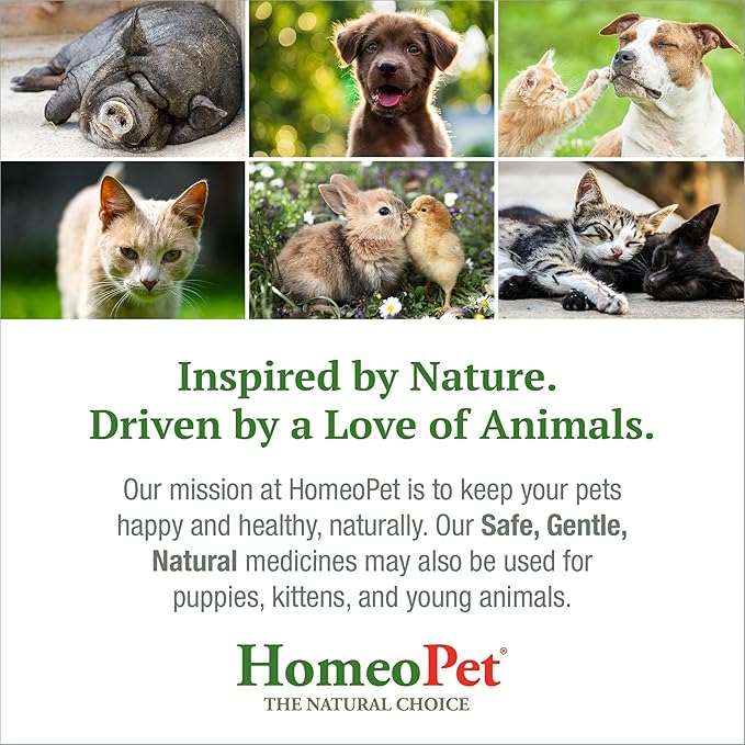 HomeoPet HP Healing Cream, Safe and Natural Skin-Healing Ointment for Cats and Dogs, 14 Grams