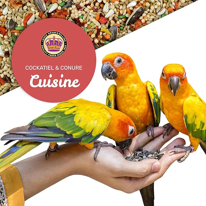 Cockatiel & Conure Cuisine 20lbs, Cockatiel & Conure Bird Seed, Nutrient-Rich Mixed Birdseeds, Bird Food for Cockatiels, Natural Mixed Seeds for Other Small Parrot, Daily Energy Growth & Balanced Diet