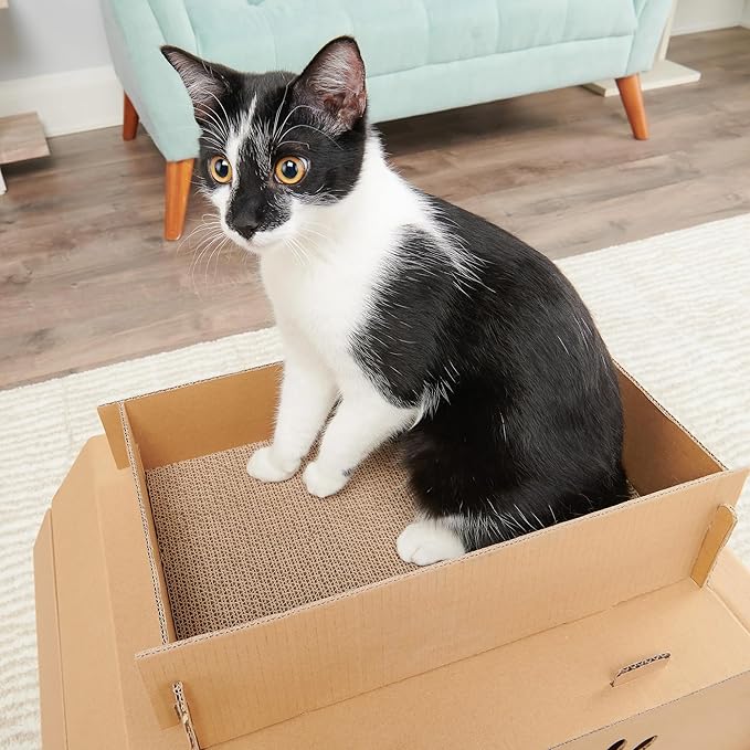 Carlson Cat Camper with Scratching Pad, Includes One Cat Door, Three Paw Windows, and One Cat Scratching Pad