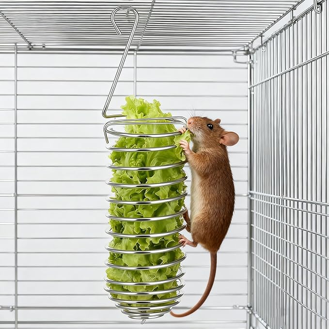 2 Pcs Rat Enrichment Toys Stainless Steel Bird Food Holder Rat Parrot Foraging Toy Hanging Rodent Toy Bird Cage Foods Holders Slow Feeder Cage Accessories for Fruit Vegetable Holder Birds Food