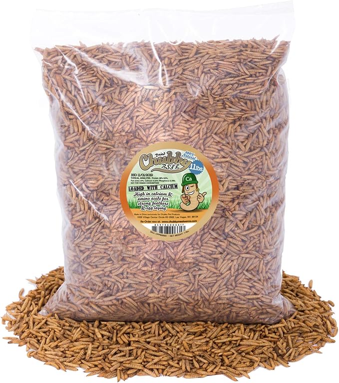 Chubby Dried Black Soldier Fly Larvae | 11 lbs | Non-GMO High-Protein Insect Treat for Chickens, Ducks & Wild Birds – Calcium-Rich Chicken Feed