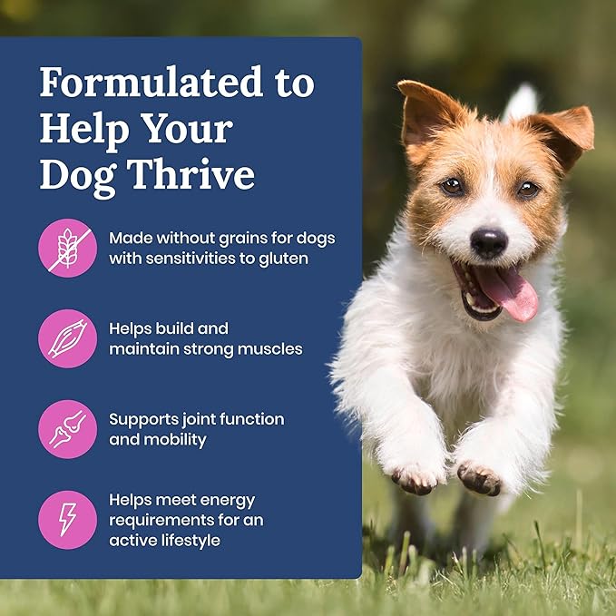 Blue Buffalo Life Protection Formula Natural Grain Free Small Breed Adult Dry Dog Food, with Chicken and Potatoes, 11 lb. Bag