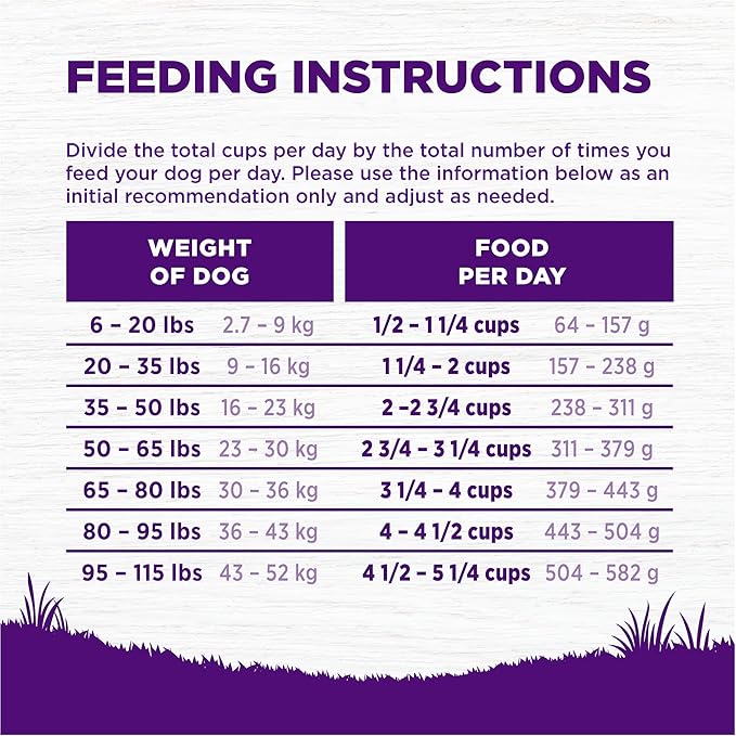 Wellness Complete Health Adult Dry Dog Food, Grain Free Kibble, Natural, Chicken Recipe, 24 lb Bag