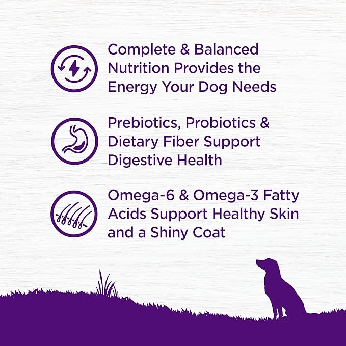Wellness Complete Health Adult Dry Dog Food, Wholesome Grain Kibble, Natural, Chicken and Oatmeal Recipe, 30 lb Bag