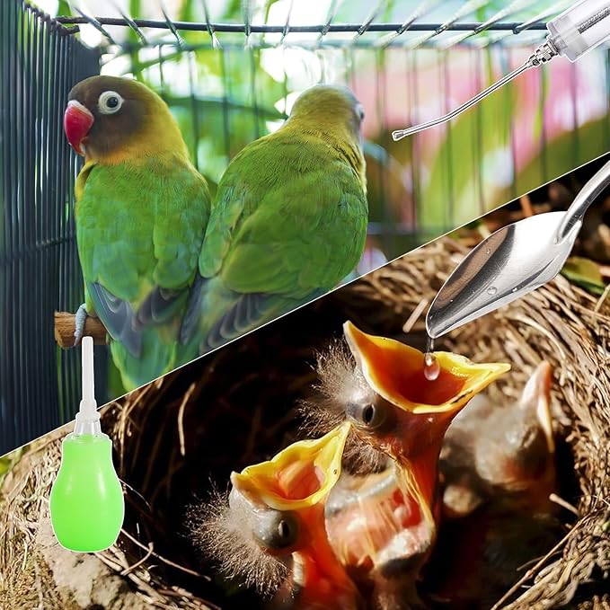 20ML Baby Bird Feeding Syringe Set Pet Syringe with 6 Pcs Curved Gavage Feeding Tubes and Bird Drinker Stainless Steel Metal Feeding Spoon for Baby Birds Parrot Small Pet
