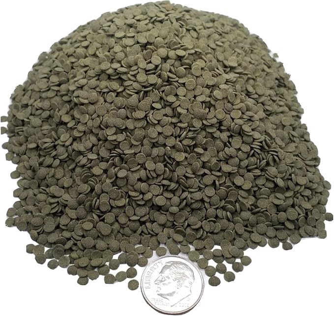 3.5mm - 1/8" Spirulina, Algae & Veggies, Sinking Micro Wafers for Bottom Fish, Shrimp, Crabs, Crayfish, All Tropical Fish…2-lb Med Jar