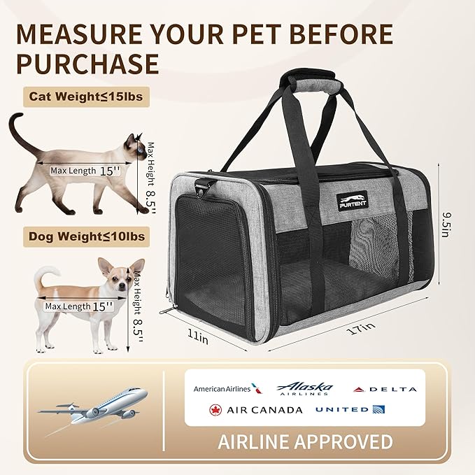 TSA Approved Pet Carrier for Small Cats and Puppies, Soft-Sided and Foldable, Cat and Dog Carrier Fits Pets Up to 15 lbs, Durable Portable Travel Bag with Litter Box (Gray, Litter Box & Leash Set)