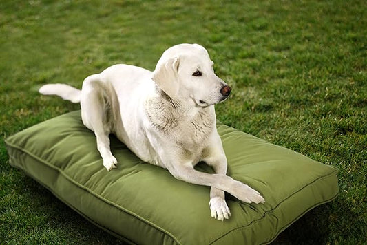 Sunbrella Double Sided Dog Bed for Indoor/Outdoor,Washable Cover & Chew Proof, Pets Mat for Multipurpose, Easy Care & Pet Safe Products (Small, Polyester, Kiwi, 26”x18”x 3")