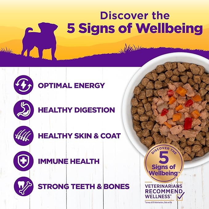 Wellness Petite Entrees Mini Filets Small Breed Adult Wet Dog Food, Grain Free, Natural, Roasted Chicken, Carrots, and Red Peppers, 3 oz, Pack of 12 Cups
