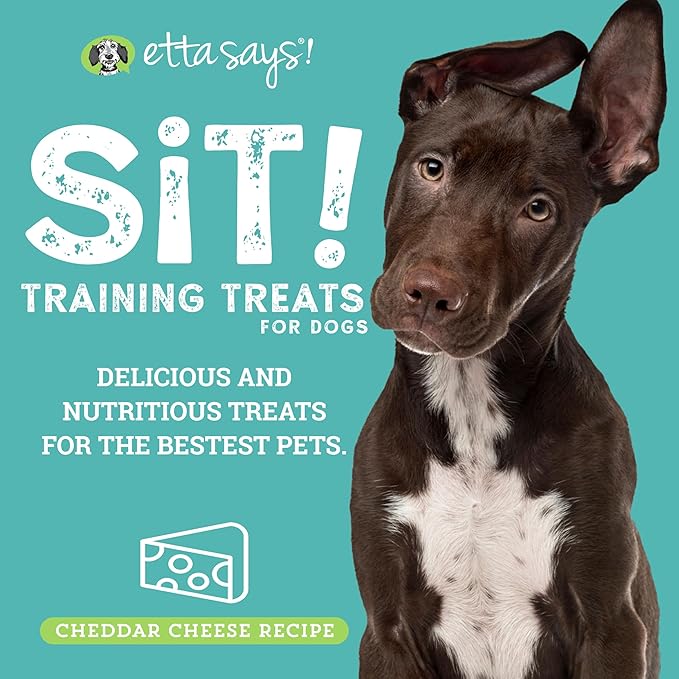 etta says! Sit Training Treats - All Natural Cheese Soft Treats for Dogs - Made in The USA - 2 Pack