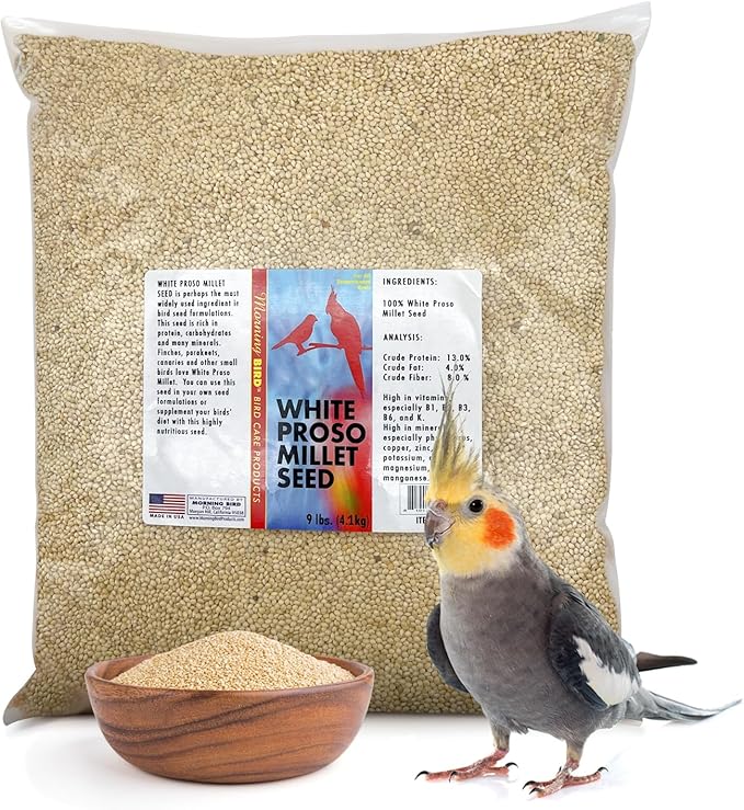 Morning Bird White Proso Millet 9 lbs – Unhulled Natural Bird Seed – Supports Feather Growth & Balanced Nutrition – High Energy Delicious Seed - Ideal for Finches, Parakeets & Pet Birds