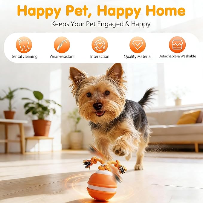 Interactive Dog Toys,Dog Ball Toy with Squeaky Birdsong Sound and Stimulation,Automatic Motion Activated Dog Toy for Boredom,Indoor Outdoor Pet Exercise Toy for Small/Medium Dogs(Blue)