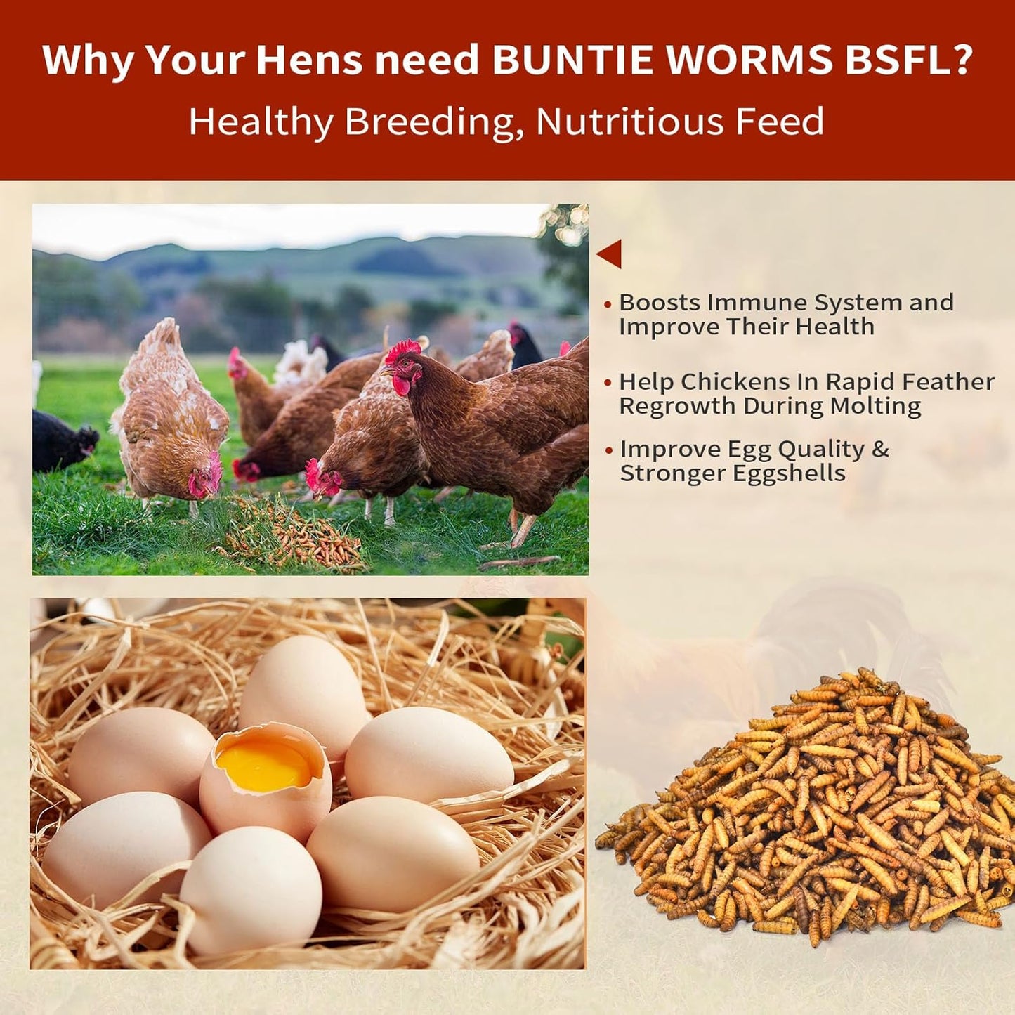 Dried Black Soldier Fly Larvae 10LB, 100% Natural Non-GMO, No Additives, Treat for Chickens, Reptiles and Birds, More Calcium Than Mealworms