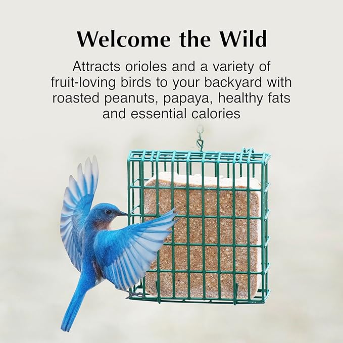 C&S Oriole Delight No Melt Suet Dough, Suet Cakes for Wild Birds Including Orioles and More, 11.75 Ounces, Pack of 8
