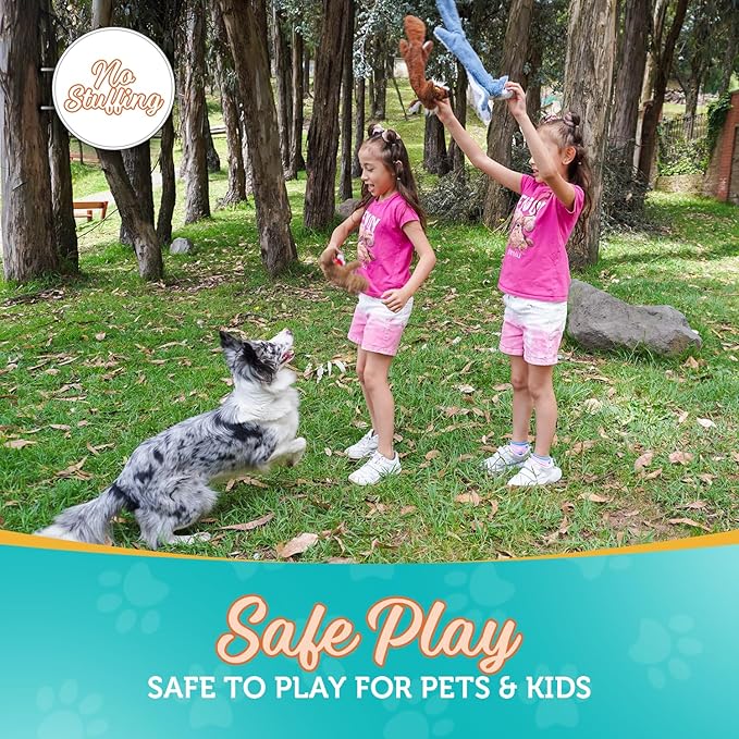 Chesk No Stuffing Dog Toys for Aggressive Chewers – 5-Pack Ultra Soft and Durable Squeaky Dog Toys Crinkle Dog Toy for All Breeds – Machine Washable Cute Dog Stuffed Animal Interactive Toys for Dogs