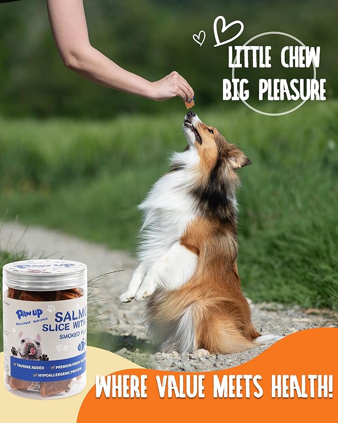 PAWUP Salmon Dog Treats, Smoked Salmon Jerky with Fish Skin, Salmon and Duck Recipe, High Protein Snacks, Natural Omega 3-6, Low in Fat with Taurine, 12.5 oz (15-20 PCS)