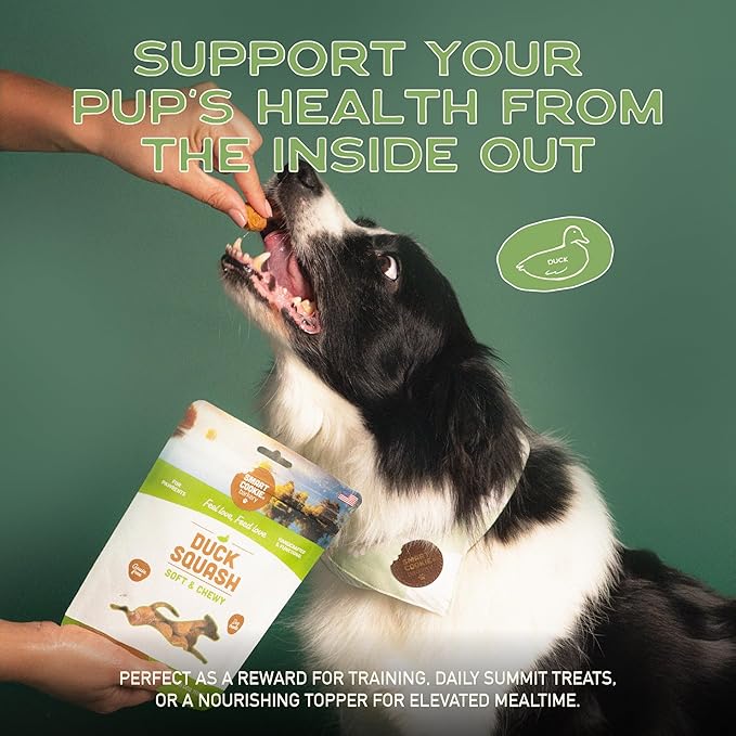 Smart Cookie All Natural Dog Treats - Duck & Squash - Training Treats for Dogs & Puppies with Allergies, Sensitive Stomachs - Soft Dog Treats, Chewy, Grain Free, Made in USA - 5oz, Pack of 3