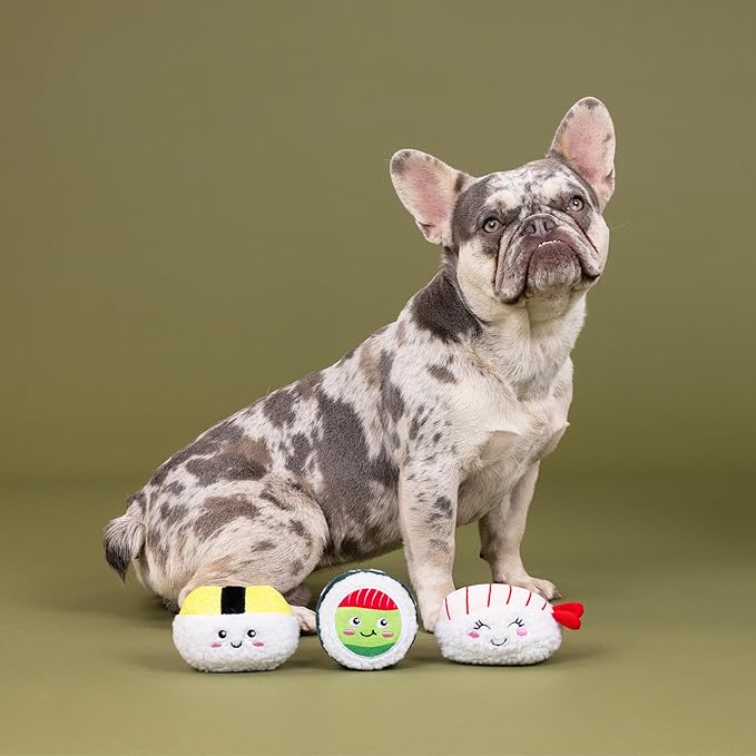 Fringe Studio Plush Dog Toy, 3 Pieces Set, Rice to Meet You, Pet Shop Collection (662178)