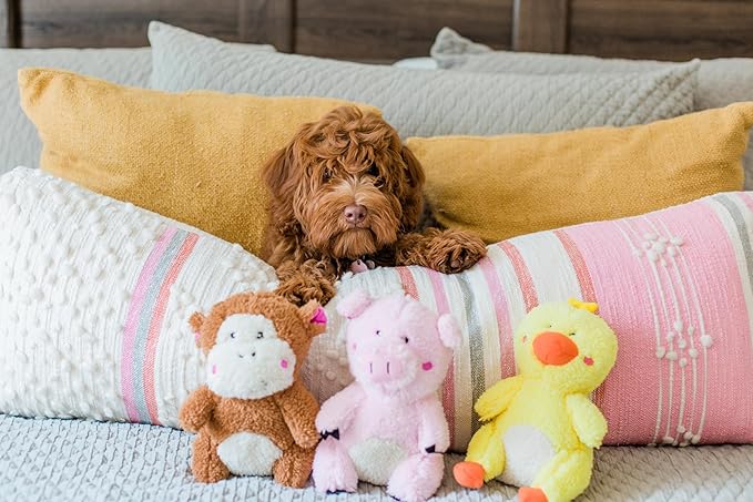 ZippyPaws - Cheeky Chumz Super Soft Squeaker Plush Dog Toy with Unique Sound - Pig