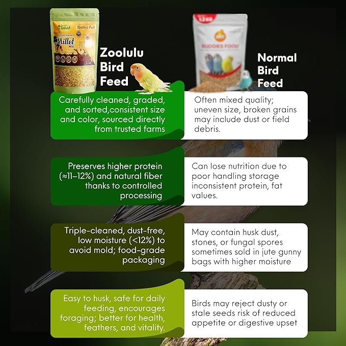 Danodia's Zoolulu Premium Cockatiel & Parrotlet Millet Mix (950g/2 lbs) | Premium Bird Food Blend for Cockatiels, Budgerigars, Parrotlets & Lovebirds | Daily Feeding Blend