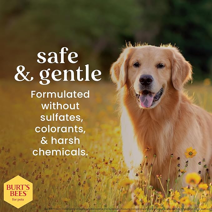 Burt's Bees for Pets Dog Detangling Spray, Natural Leave-in Coat Detangler & Dog Deodorizing Grooming Spray with Lemon, pH Balanced for Dogs, Paraben & Sulfate Free, 10 Fl Oz