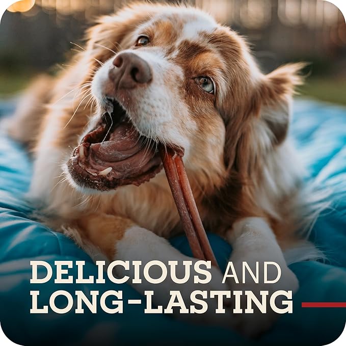 Redbarn Pet Products Bully Springs for Dogs, Pack of 25