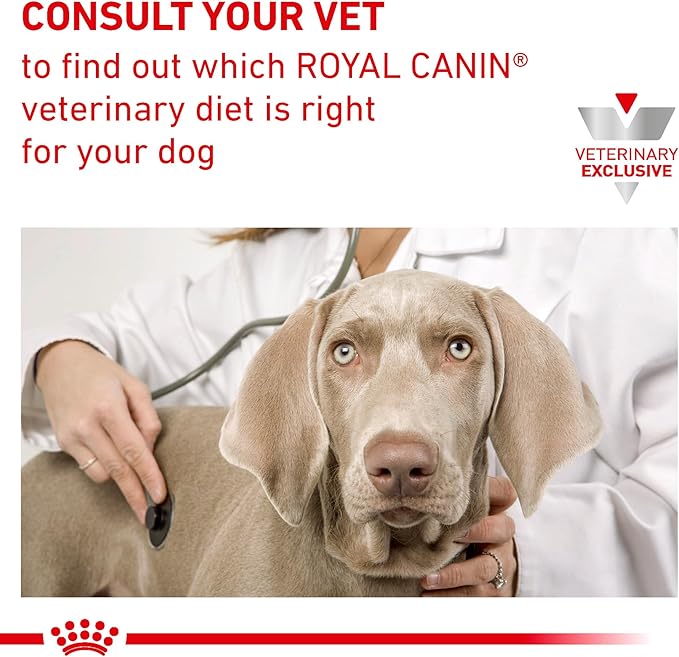 Royal Canin Veterinary Diet Canine Medium Mature Consult Mature Dry Dog Food, 19.8 lb Bag