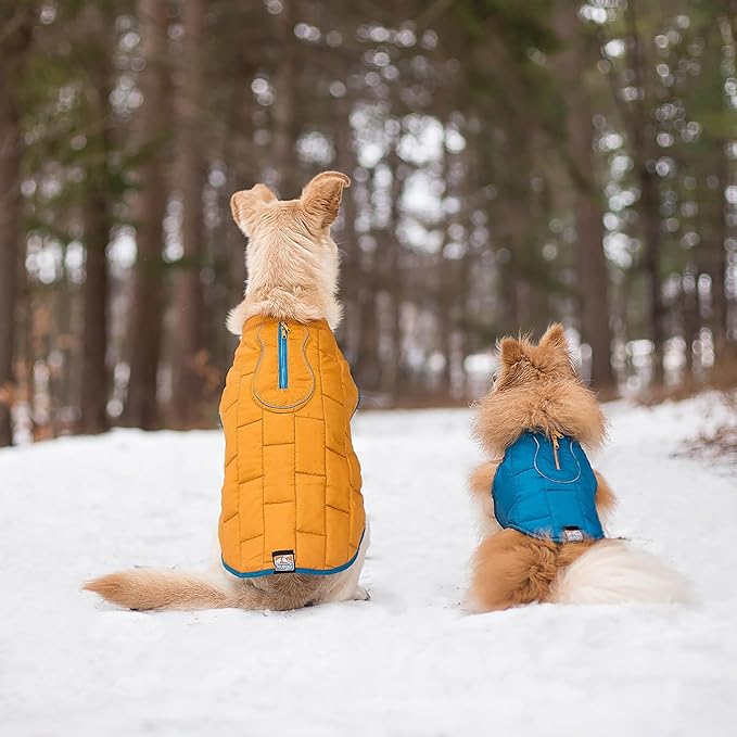 Kurgo Loft Dog Jacket - Reversible Cozy Coat for Outdoor Adventures - Water Resistant - Athletic Fit - Machine Washable Fabric - Reflective Dog Gear - X-Large - Coastal Blue