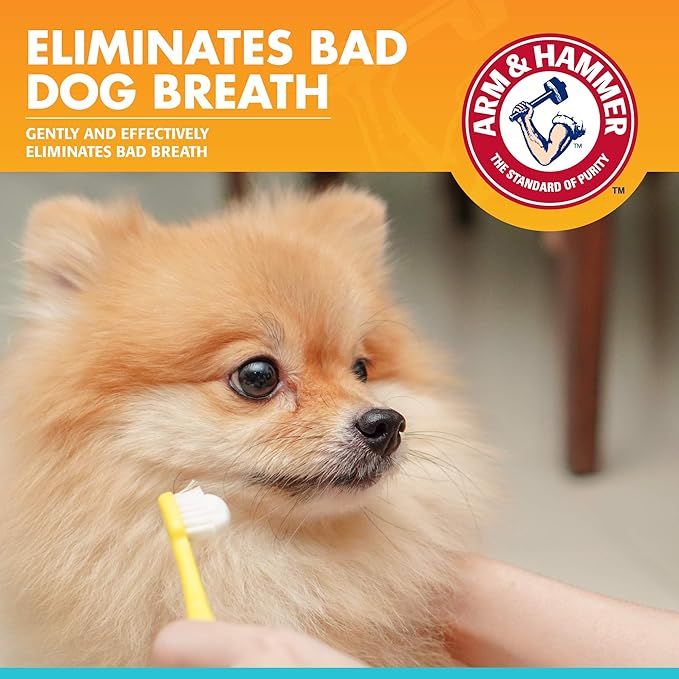 Arm & Hammer for Pets Fresh Breath Enzymatic Dog Toothpaste, Vanilla Ginger Flavor, Safe for Puppies and Adult Dogs, Daily Baking Soda Dental Gel to Eliminate Bad Breath, 2.5 Oz