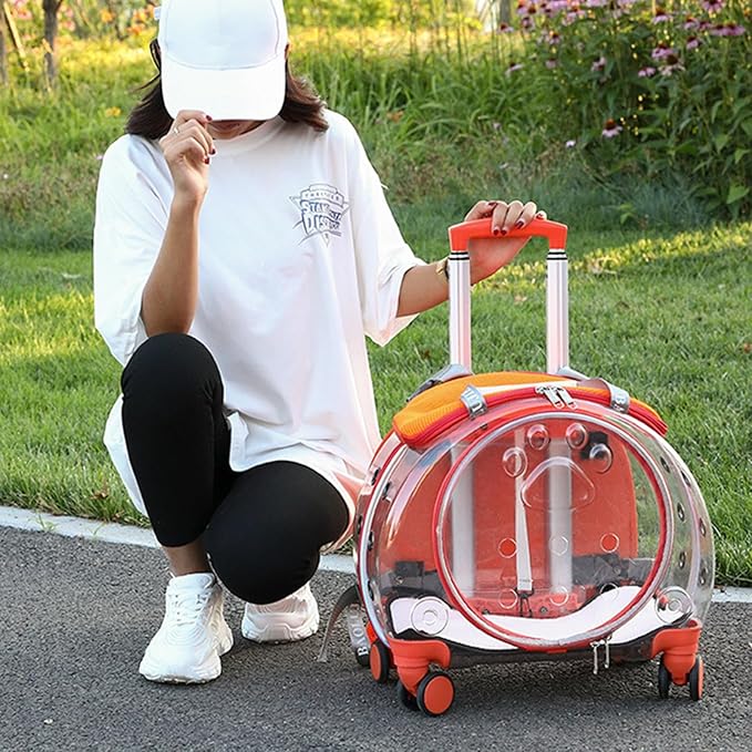 Rolling Cat Carrier,Clear Cat Carrier with Wheels,Pet Trolley Case Pet Backpack for Kitty Small Dog Sturdy and Breathable Design Portable Cats Dogs Backpack for Travel/Taking a Walk Orange