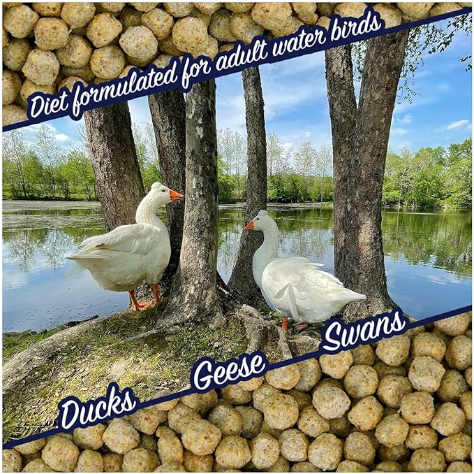 Natural Waterscapes Waterfowl Feed 20 lb Bag | Floating Pellets for Duck, Swan, Goose | for Wild and Pet Ducks