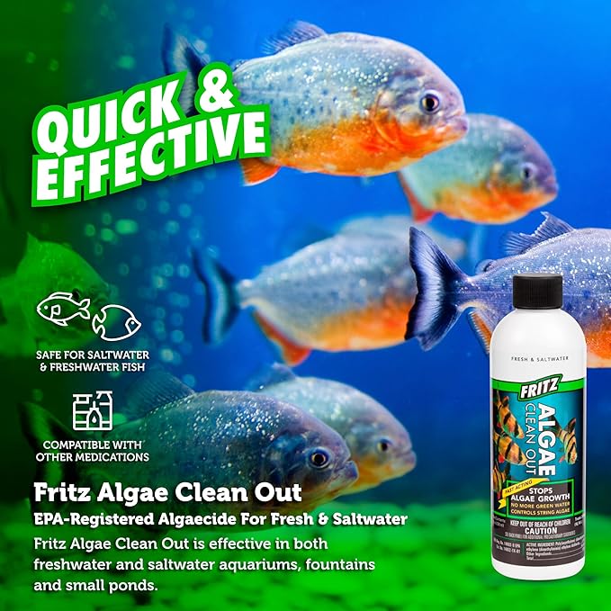 Fritz Aquatics AFA48008 Algae Clean Out for Aquarium, 8-Ounce, Model: 805000