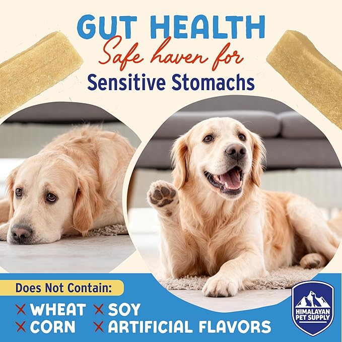 Himalayan Dog Chew Yogurt Sticks, Bacon Flavored, Dog Treats With Prebiotics, Probiotics & Protein, Digestive Support, Lactose & Gluten Free, Natural Dog Treat for All Breeds, Made in America, 5 Count