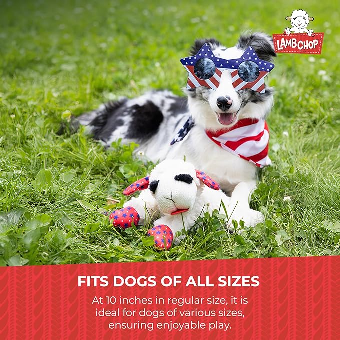 Multipet Lamb Chop Dog Plush Toy - Squeaky Toy for Small & Medium Dogs - Extra Soft Plush - Stuffed Animal for Cuddling & Playing 10" Cream, 5 Squeakers (Pack of 3)