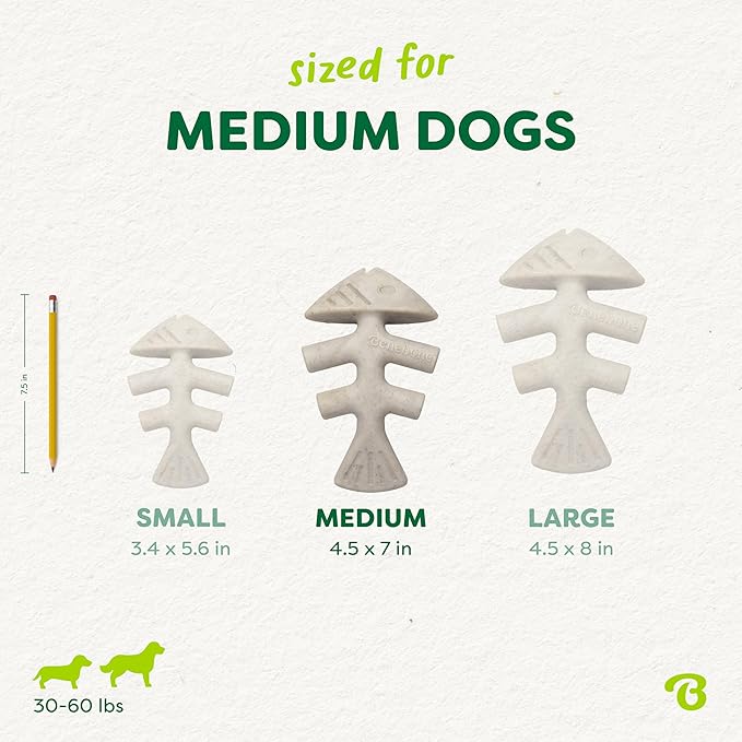 Benebone Green: Plant-Based Real Salmon Fishbone Dog Chew Toy for Medium Dogs, Dog Bones for Moderate Chewers, Made in USA