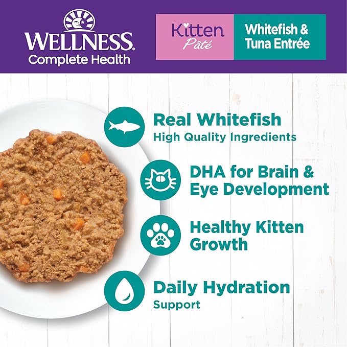 Wellness Complete Health Pate Kitten Canned Wet Cat Food, Natural, Protein Rich, Grain Free, Whitefish and Tuna Entrée Recipe, 5.5 oz, Pack of 24 Cans