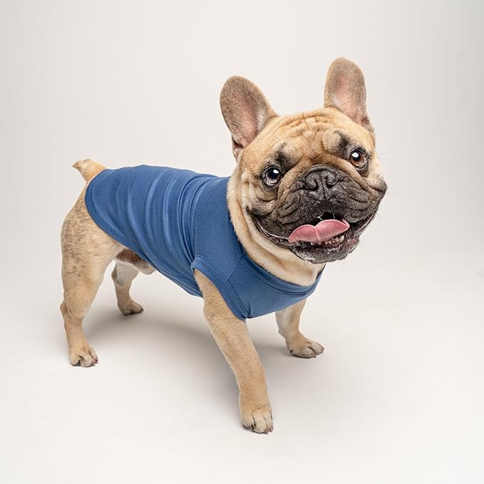 Japan Flag Soccer Jersey Style Dog Tee Shirt | Sleeveless Breeds | International Soccer | Game Day |Royal Blue, Small 1661