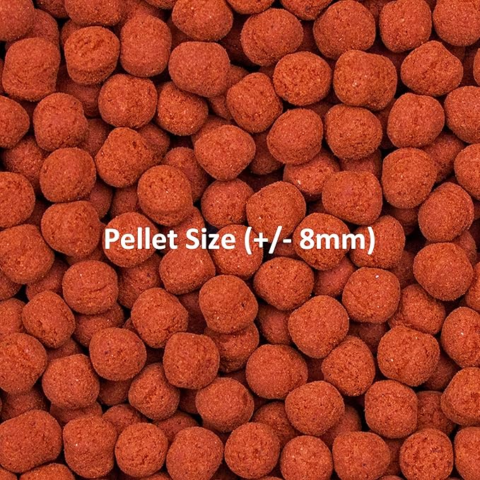 Ocean Nutrition Tropical Fish Food - Soft Moist Sinking Pellets, High Protein(41%) Guppy Food, Flakes Alternative, 1 kg XL Pellet