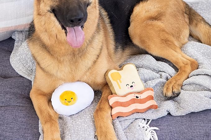 Pearhead Breakfast Dog Toy Set – 3-Piece Bunch Food Theme (Egg, Toast & Bacon) with Squeaker & Crinkle Paper – Interactive Pet Toy for Puppies & Dogs, Stocking Stuffer Ideas