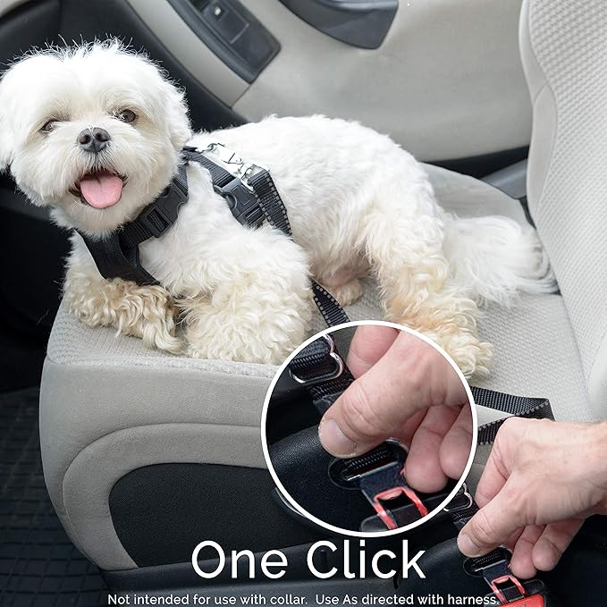 Dog Seat Belt Pet Dog Cat Car Seatbelt Safety Tether - 2 Pack - Adjustable Harness Belts Pet Leash - Heavy Duty Nylon Seatbelts - Universal Fit Cars Truck SUV