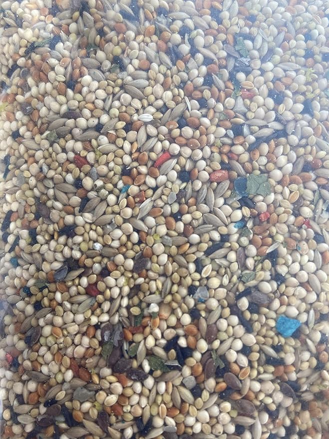 Volkman Avian Science Super Finch Bird Food 8lbs