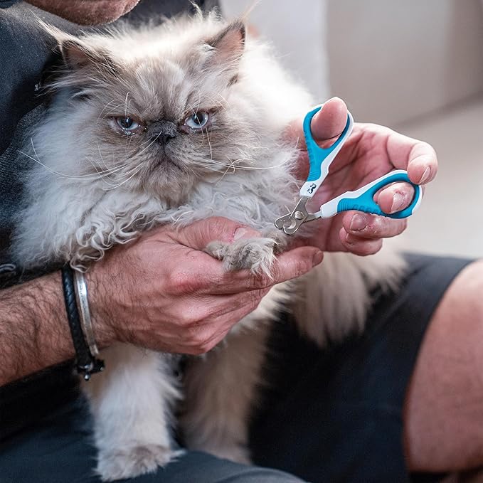 Mr. Pen- Cat Nail Clipper, Blue, Stainless Steel, Cat Claw Trimmers Kittens, Pet Nail Clipper with Sturdy Non Slip Handle