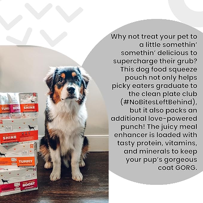 I AND LOVE AND YOU Wet Dog Food Toppers - Top that Gaze Salmon Recipe in Gravy, Filler Free, Meal Enhancer Topper, 3oz 12pk