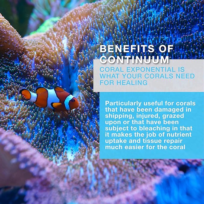 Continuum Aquatics Coral Exponential - Coral Growth Accelerator & Amino Acid Complex for Live Corals & Reef Aquaria, 20 Liter