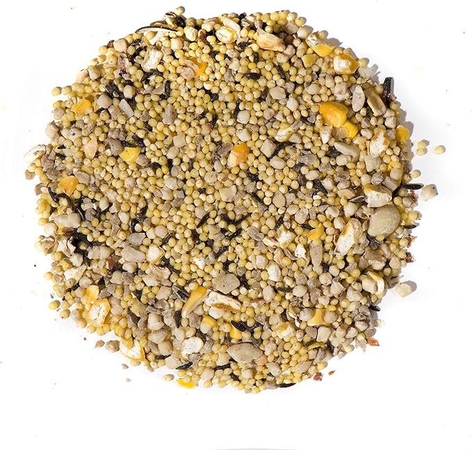 Nature's Nuts Waste Free No Sprout Blend - 20 lb. -Wild Bird Food