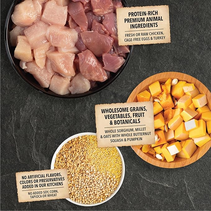 ACANA Wholesome Grains Dry Dog Food Puppy Recipe Real Chicken Eggs and Turkey 4lb Bag