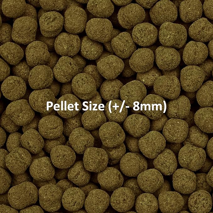Ocean Nutrition Formula Two Pellets - Fish Food for Herbivorous & Omnivorous Marine Tropical Fish, High Protein(40%) - 2.2 lbs (1 kg) XL Pellets
