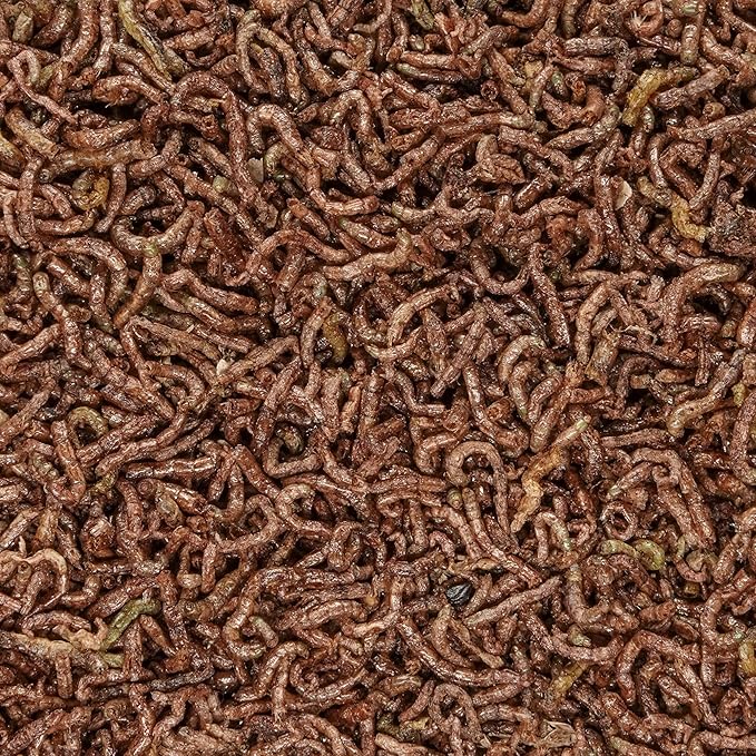 San Francisco Bay Brand Freeze-Dried Bloodworms Fish Food - All Natural High Protein Treat for Freshwater Fish, Bettas, Tetras, Barbs, Catfish, Aquatic Amphibians - Betta Fish Food - 0.6 oz (17g)