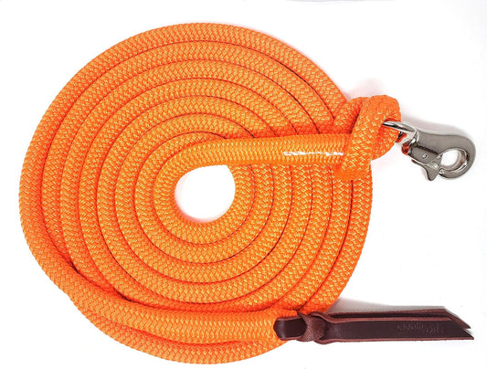 14FT Lead Rope with NP Snap