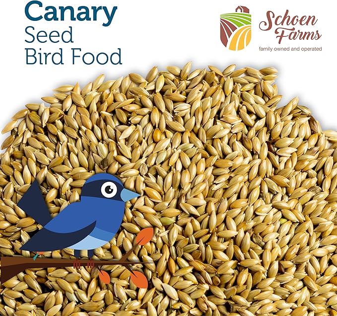 Schoen Farms Canary Seed ALPISTE (5 LBS)
